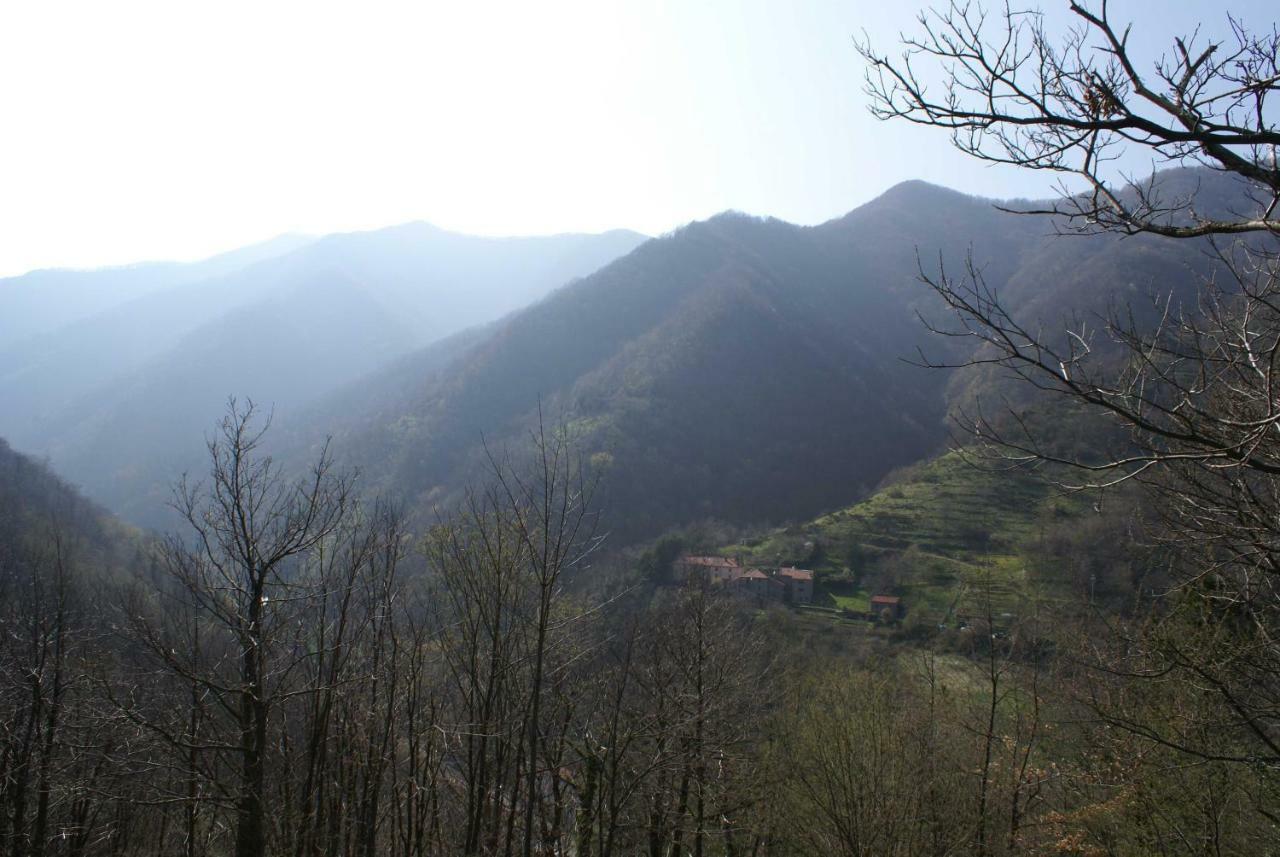 Le Limentre Bed & Breakfast San Pellegrino al Cassero